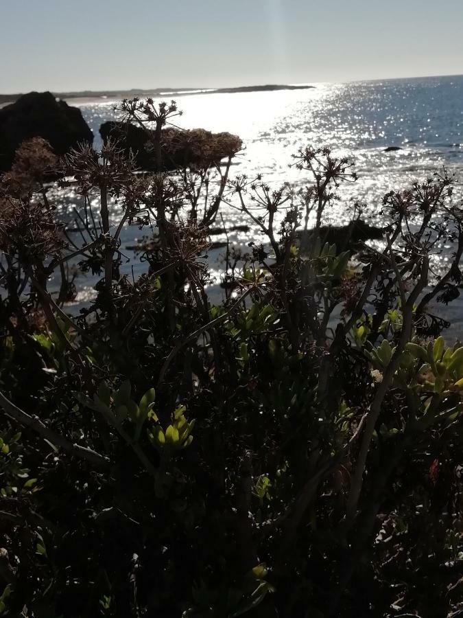Sardinia For You Oristano Ngoại thất bức ảnh